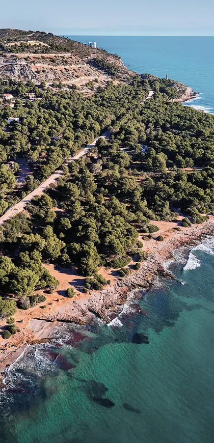 La Vía Verde del Mar entre la vegetación, junto a la costa
